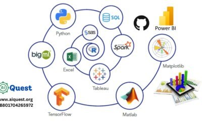 Data Scientist: All you Need to Know | aiQuest Intelligence